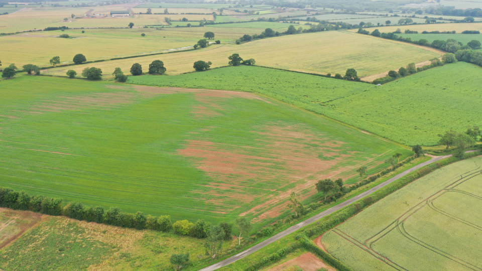 Haunton Solar Project